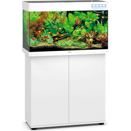 JUWEL Ensemble complet Aquarium + Meuble Rio 125 Blanc