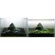 PAYSAGE AQUATIQUE N°5