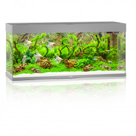 Aquarium Juwel Rio 240 LED Gris