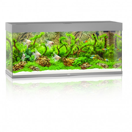 Aquarium Juwel Rio 240 LED Gris