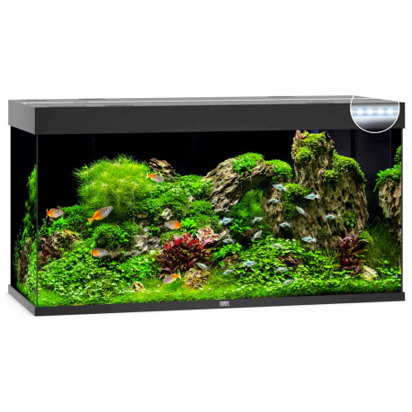 Aquarium Juwel Rio 350 LED Noir