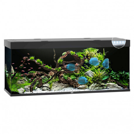 Juwel aquarium rio 240 L LED noir - JMT Alimentation Animale