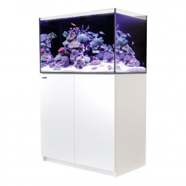 Red Sea Reefer™ 250 G2+ Blanc (Aqua + mbl)