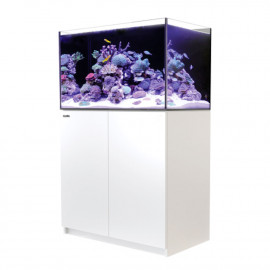 Red Sea Reefer™ 300 G2+ Blanc (Aquarium + meuble)