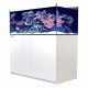 Red Sea Reefer™ 425 G2+ Blanc (Aquarium + meuble)