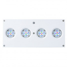 Aqua illumination Hydra 64 Noire - Rampe LED