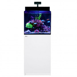 Red Sea Max® Nano G2 XL avec meuble blanc