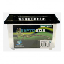 REPTO BOX 18 X 11 X 12CM 