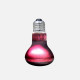 ARCADIA INFRAROUGE BASKING SPOT 50 WATT - Lampe infrarouge