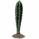 AQUA DELLA Cactus cylindrique