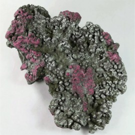 Roche Marine S