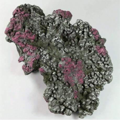 Roche Marine S