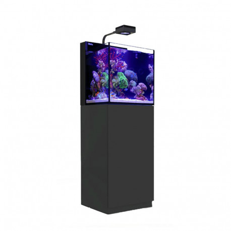 RED SEA MAX NANO G2 PENINSULA avec meuble Noir