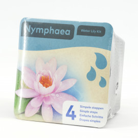 Kit Nymphaea Rose