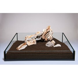 Desert Moon - Roche décorative pour aquarium