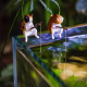 Chat pêcheur Multicolor 4cm - Décoration pour bord d'aquarium