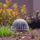 Aquaplante Mousse Dôme - Support de croissance pour mousses d'aquarium