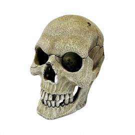 REPTO DECO HUMAN SKULL XL - Décoration reptiles