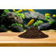 OASE Peat 1 litre - Tourbe de filtration pour aquarium