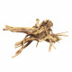 BioArt Spider Wood 10-15 cm - Racines décors pour Wabi-Kusa