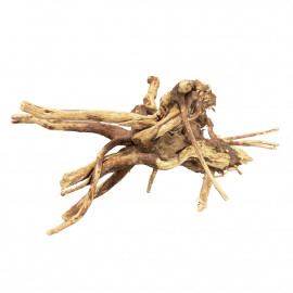 BioArt Spider Wood 10-15 cm - Racines décors pour Wabi-Kusa
