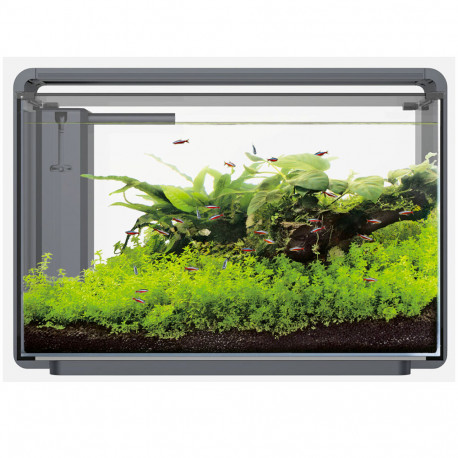 SUPERFISH Home PROLED 65 Noir - Aquarium équipé