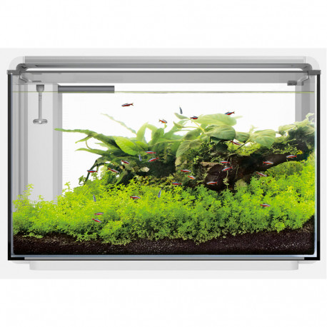 SUPERFISH Home PROLED 85 Blanc - Aquarium équipé