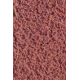 Azolla Caroliniana PREMIUM