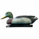 SUPERFISH Canard Colvert mâle - Décoration bassin
