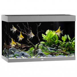 Aquarium Juwel Rio 290 LED Gris - Aquarium équipé