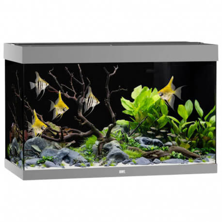Aquarium Juwel Rio 290 LED Gris - Aquarium équipé