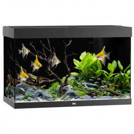 Aquarium Juwel Rio 290 LED Noir - Aquarium équipé