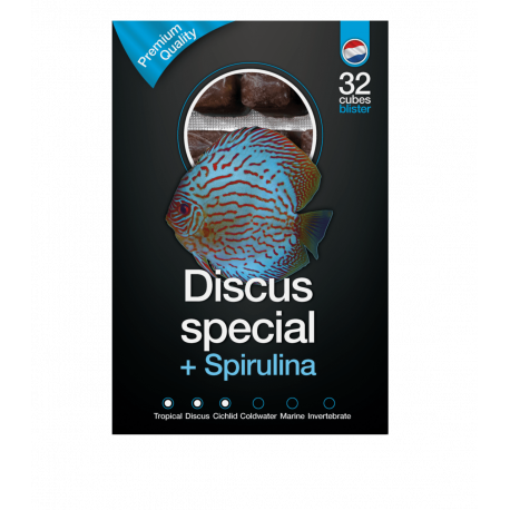 Dutch Select Discus Special & Spirulina 100gr Lot de 10pcs (1Kg) - Nourriture congelée