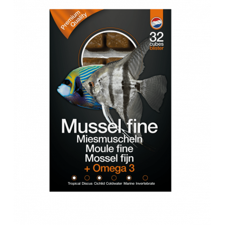 Dutch Select  Moule Fine & Omega3 100gr Lot de 10pcs (1Kg) - Nourriture congelée