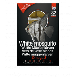 Dutch Select Vers de vase blancs & Omega3 100gr Lot de 10pcs (1Kg) - Nourriture congelée