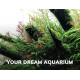 YOKUCHI Gen BG microéléments 400 ml - Engrais liquide aquarium