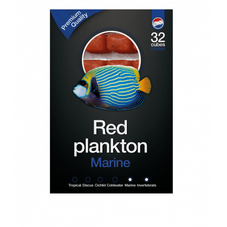 Dutch Select Plancton Rouge 100gr Lot de 10pcs (1Kg) - Nourriture congelée