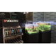 YOKUCHI Gedoku 400 ml - Conditionneur d'eau aquarium