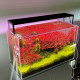 Chihiros Eclairage LED WRGB II SLIM 120 avec contrôleur Bluetooth