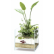 Aquaplante lampe LED pour Wabi-Kusa ou plante d'intérieur - Lampe Led horticole