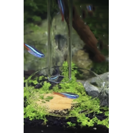 Aquaplante Tube de nourrissage en verre AQ-TU - Tube de nourrissage
