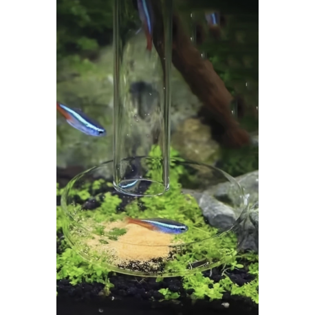 Aquaplante Tube de nourrissage en verre AQ-TU - Tube de nourrissage