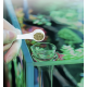 Aquaplante Tube de nourrissage en verre AQ-TU - Tube de nourrissage