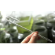 Aquaplante J pour Tuyau CO2 / Air - Accessoire CO2