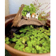 Chat pêcheur Noir 4cm - Décoration pour bord d'aquarium