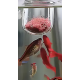 Aquaplante Red worm Feeder en verre - Distributeur nourriture