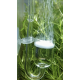 Aquaplante Diffuseur CO2 BZ-GD-07 - Diffuseur CO2 pour Aquarium