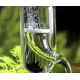 Aquaplante Diffuseur / Réacteur CO2 Externe en verre AQ-31 - Diffuseur CO2 pour aquarium