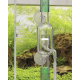 Aquaplante Diffuseur / Réacteur CO2 Externe en verre AQ-31 - Diffuseur CO2 pour aquarium