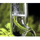 Aquaplante Diffuseur / Réacteur CO2 Externe en verre AQ-32 - Diffuseur CO2 pour aquarium